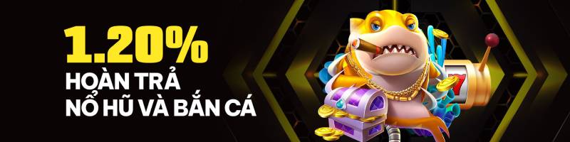 Về Chúng Tôi 4 Cập nhật khuyến mãi và ưu đãi