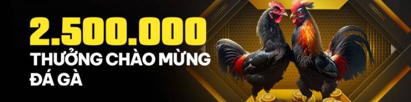 Khuyến mãi đá gà – Nhận 2.500.000 VNĐ tiền thưởng